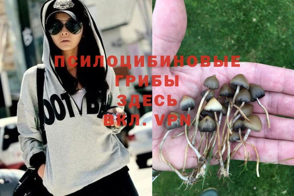mdma Инта