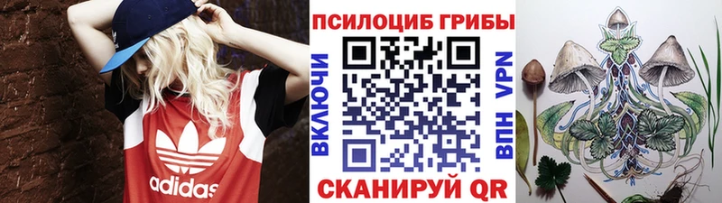 Псилоцибиновые грибы Magic Shrooms Дмитриев
